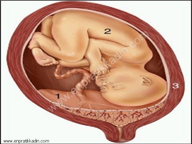 Fetal İyilik Halinin Değerlendirilmesi