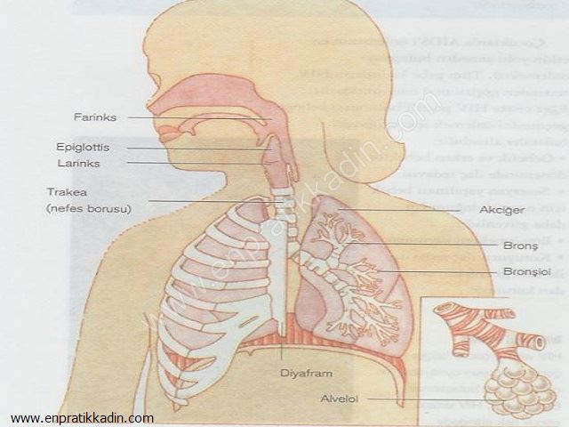 Çocuklarda Akciğer Enfeksiyonu Önlemleri ve Nefes Alma