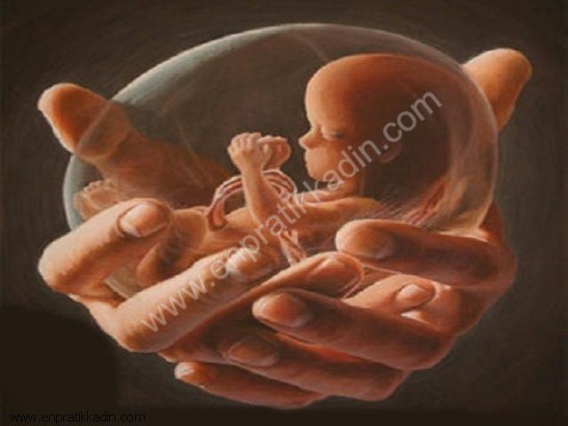 Hamilelikte 12