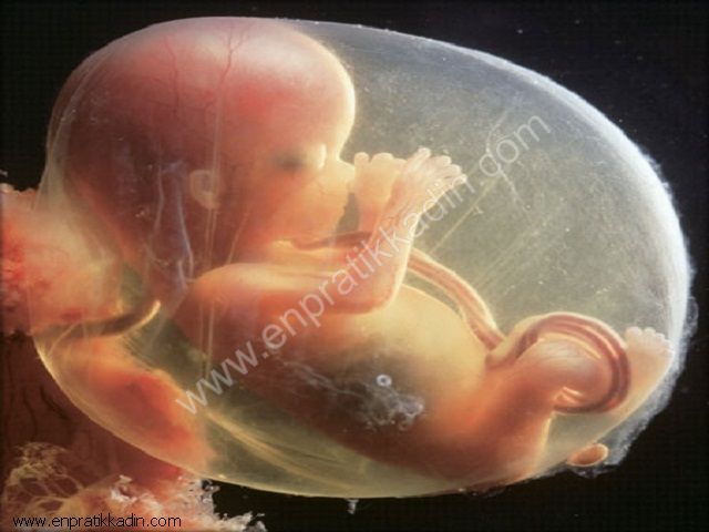 Hamilelikte 15