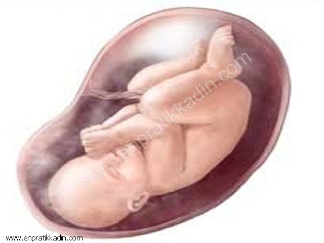 Hamilelikte 37