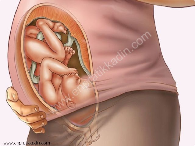 Hamilelikte 38
