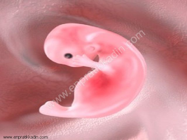 Hamilelikte 9