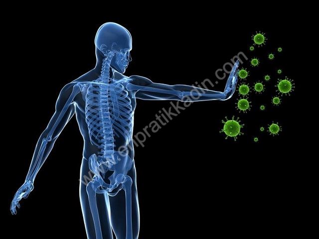 Vücut Direnci ve Bağışıklık Sistemi
